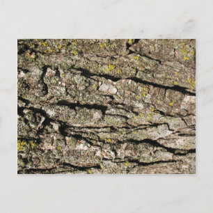 Carte Postale Aboyer