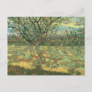 Carte Postale Abricotiers en fleurs, Vincent van Gogh