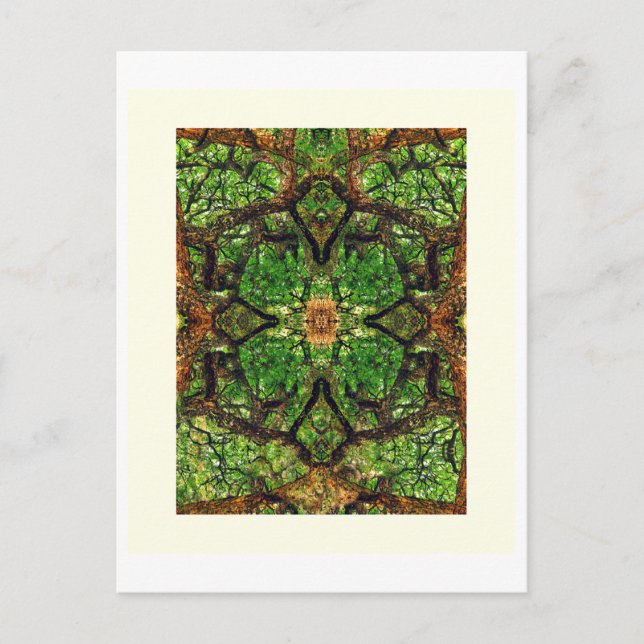 Carte Postale ABSTRACTION DES ARBRES AMBIDEXTÉROUS #66, Édition  (Devant)