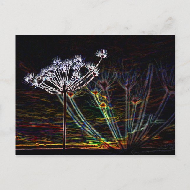 Carte postale Abstrait Cow Parsley (Devant)