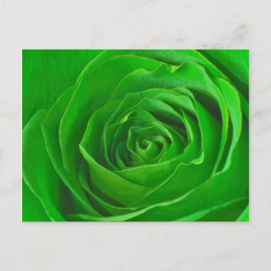 Carte Postale Abstrait Emerald Green Rose Center Photographie