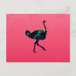 Carte postale Abstraite Ostrich