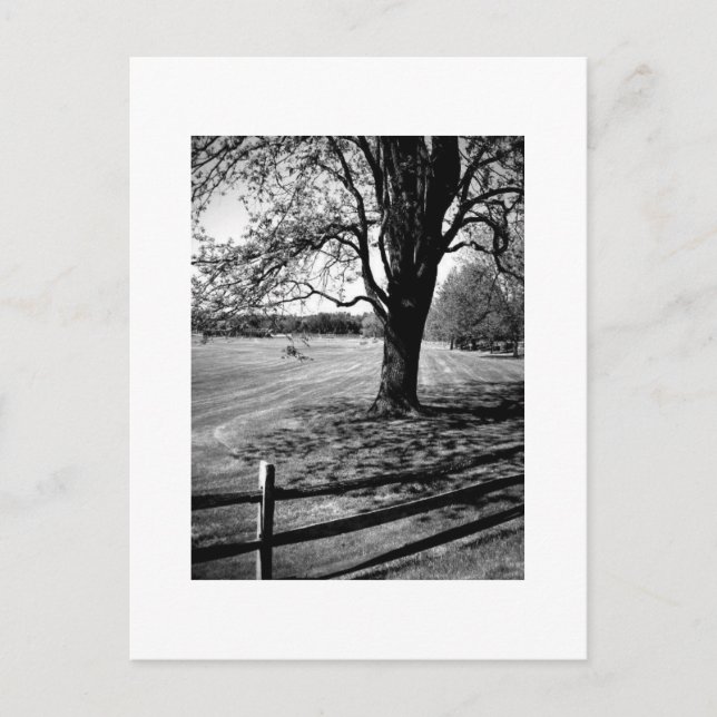 Carte Postale Académies de culture, Noir et Blanc (Devant)