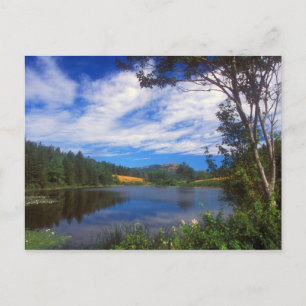 Carte Postale Acadia Long Pond View