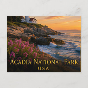 Carte Postale Acadia Maine Côte rocheuse & mont Cadillac