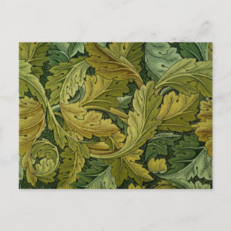 Carte postale Acanthus