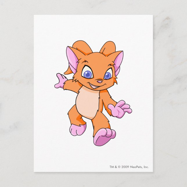 Carte Postale Acara Orange (Devant)