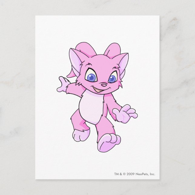 Carte Postale Acara rose (Devant)