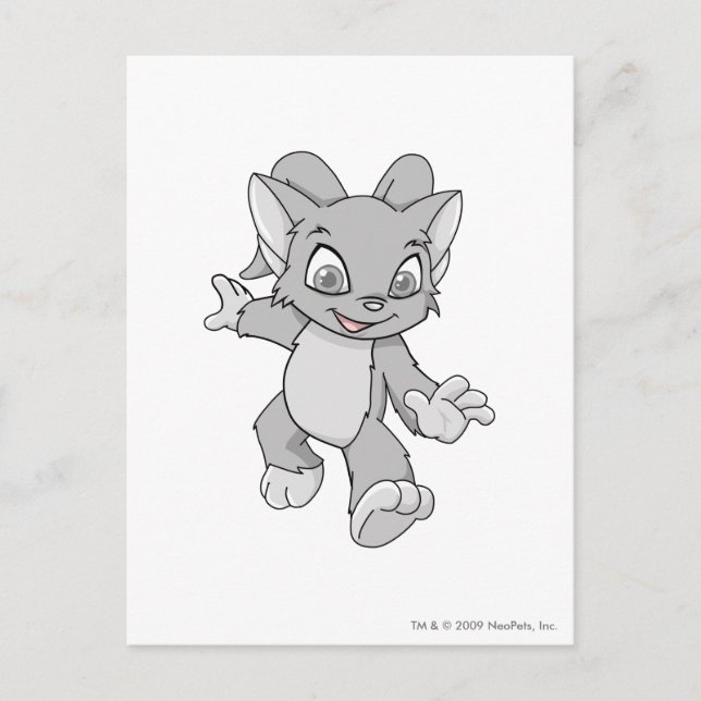 Carte Postale Acara Silver (Devant)