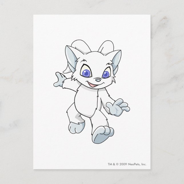 Carte Postale Acara White (Devant)