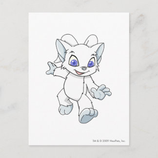 Carte Postale Acara White