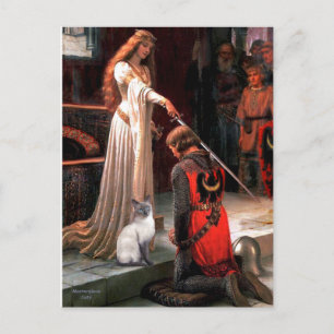 Carte Postale Accolade - Blue Point Chat siamois