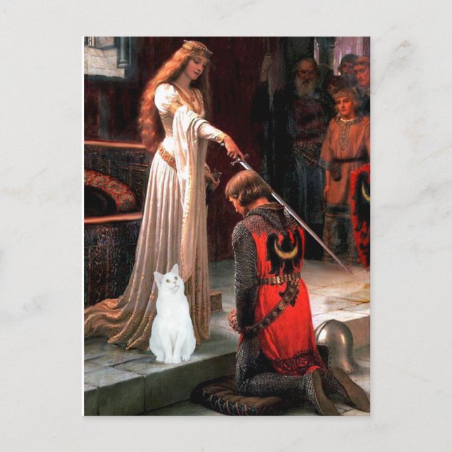 Carte Postale Accolade - chat blanc (Devant)