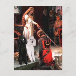 Carte Postale Accolade - Poodle (DEUX standard)