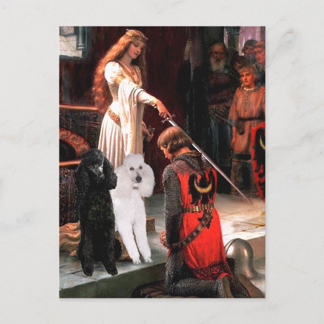 Carte Postale Accolade - Poodle (DEUX standard) (Devant)