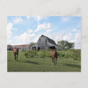 Carte Postale Accueil convivial