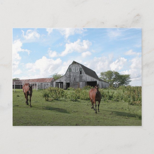 Carte Postale Accueil convivial (Devant)