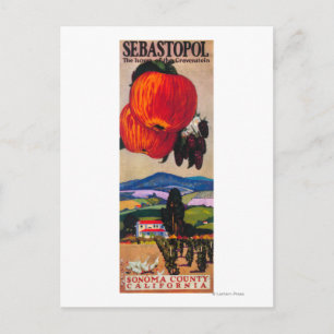 Carte Postale Accueil de l'affiche Gravenstein