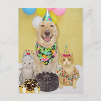 Carte Postale Accueil et invitation personnalisés pour l'anniver