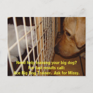 Carte Postale Ace Big Dog Trainer