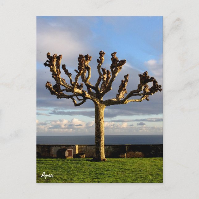 Carte postale Açores Ermida da mae de Deus (Devant)