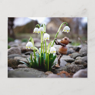 Carte Postale Acorn 11 with snowflake flower spring postcard