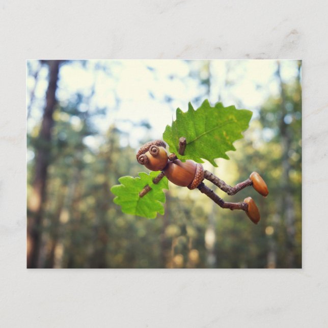 Carte postale Acorn elf Ikaros (Devant)