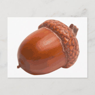 Carte Postale acorn.png