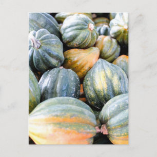 Carte Postale Acorn Squash