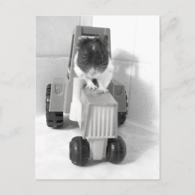 Carte Postale acres verts noah (Devant)