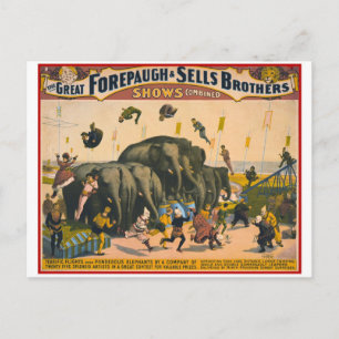 Carte Postale acrobates du cirque vintage Forepaugh & Vendre