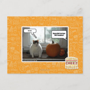 Carte Postale Act cool