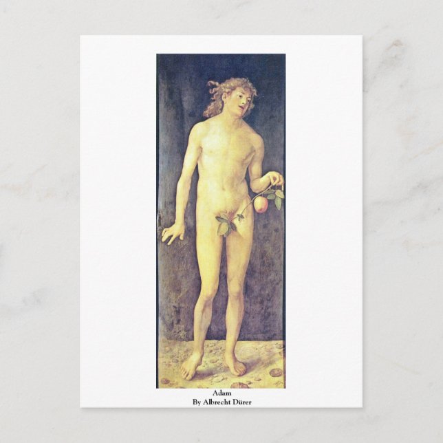 Carte Postale Adam By Albrecht Dürer (Devant)