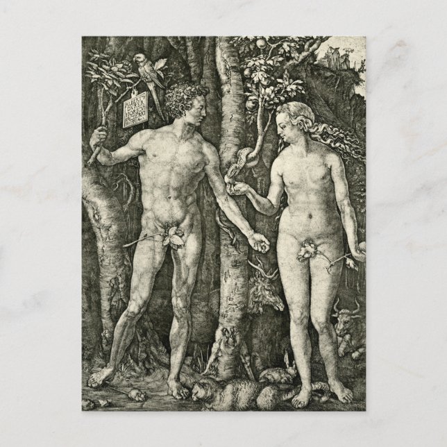 Carte Postale Adam et Eve par Albrecht Durer (Devant)