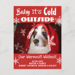 Carte Postale Add Pet Photo "Baby It's Cold Outside" Holiday