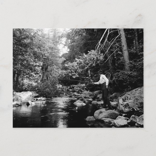 Carte Postale Adirondack Fly Fishing (Devant)
