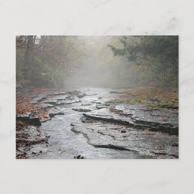 Carte postale Adirondacks #001 (Devant)