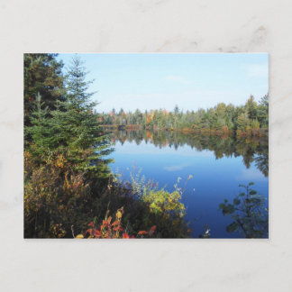 Carte Postale Adirondacks Upper Chub River Scène d'automne