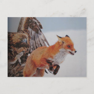 Carte Postale Adler-Fuchs-Kampf-Postkarte