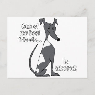 Carte Postale Adopté~BlackandWhite