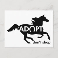 Adopter des Chevaux