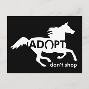 Carte Postale Adopter les chevaux
