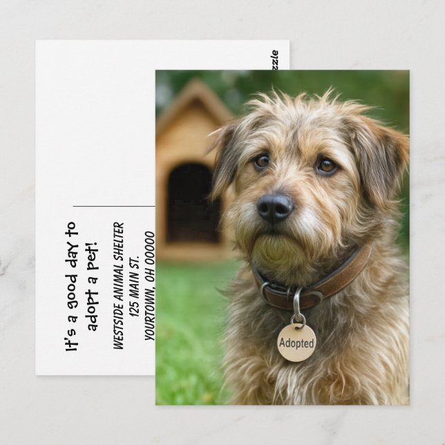 Carte Postale Adopter un animal  (Devant / Derrière)