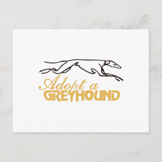 Carte Postale Adopter un Greyhound