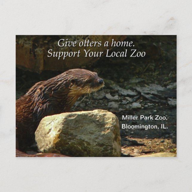 Carte Postale Adorable (Devant)