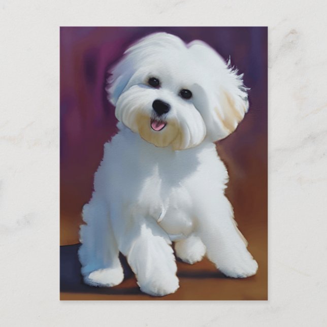 Carte Postale Adorable Bichon Havanais Chiot Aquarelle (Devant)