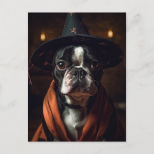 Carte Postale Adorable Boston Terrier Halloween