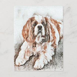 Carte Postale Adorable Cavalier King Charles Spaniel croquis