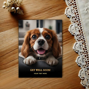 Carte Postale Adorable Cavalier King Charles Spaniel Prompt réta