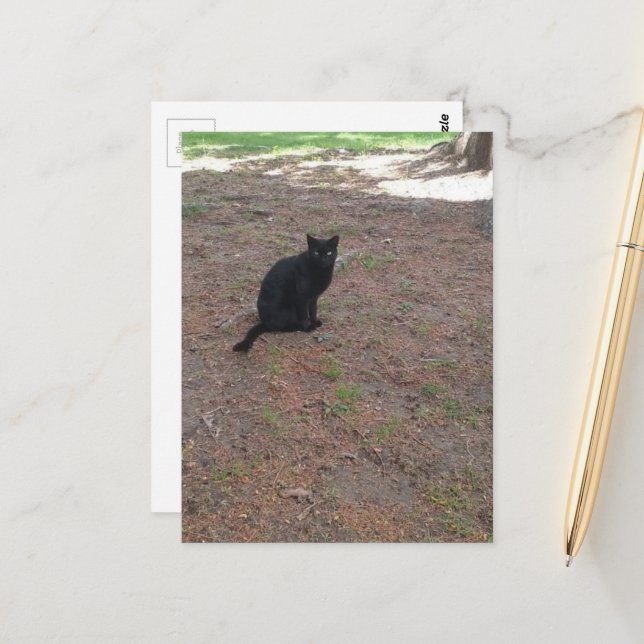 Carte Postale adorable chat noir errant (Devant/Arrière en situation)